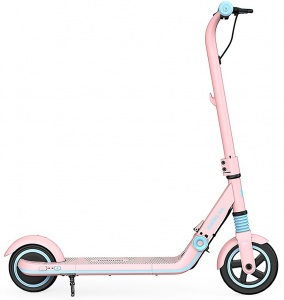 Купить Детский электросамокат Ninebot eKickScooter Zing E8 Pink