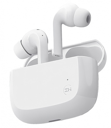 Купить Беспроводные наушники Xiaomi ZMI PurPods