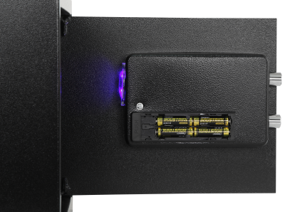 Купить CARCAM Electronic Safe Box (XM30EIS)