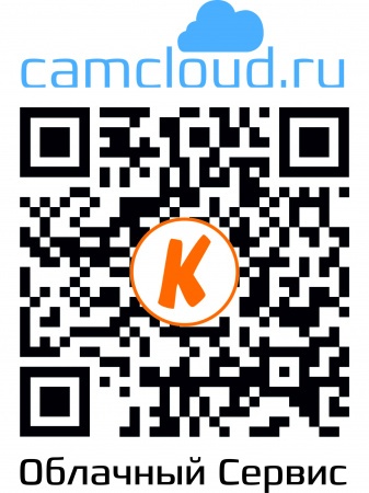Купить IP камера видеонаблюдения CARCAM CAM-2898SD