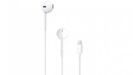 Купить Гарнитура EarDods Lightning