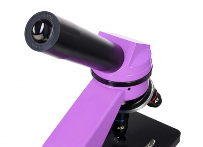 Купить (RU) Микроскоп Levenhuk Rainbow 2L Amethyst\Аметист