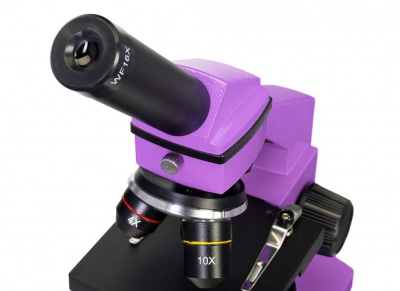 Купить (RU) Микроскоп Levenhuk Rainbow 2L PLUS Amethyst\Аметист