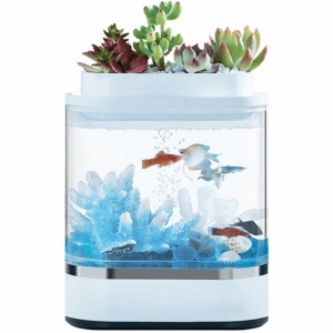 Купить Аква-ферма Xiaomi Descriptive Geometry Mini Lazy Fish Tank (HF-JHYG 005)