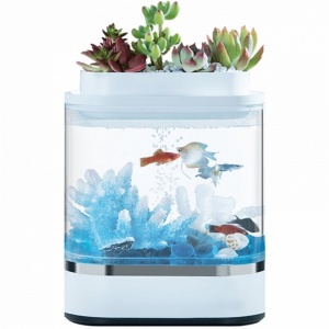 Xiaomi Descriptive Geometry Mini Lazy Fish Tank (HF-JHYG 005)