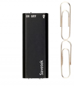 Купить Диктофон Savetek GS-R01S 16GB