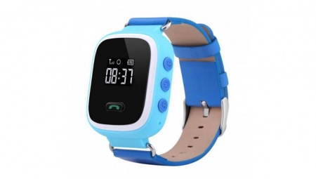 Купить CARCAM GW900S Blue