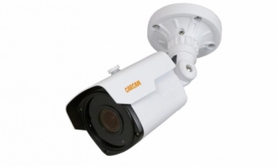 Купить IP камера видеонаблюдения CARCAM CAM-5895P