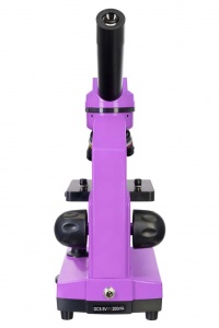Купить (RU) Микроскоп Levenhuk Rainbow 2L Amethyst\Аметист