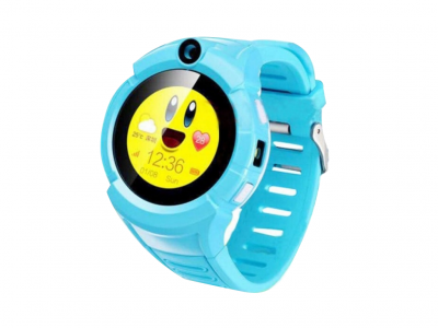 Купить CARCAM GW600 Blue