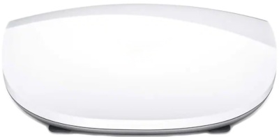 Magic Mouse