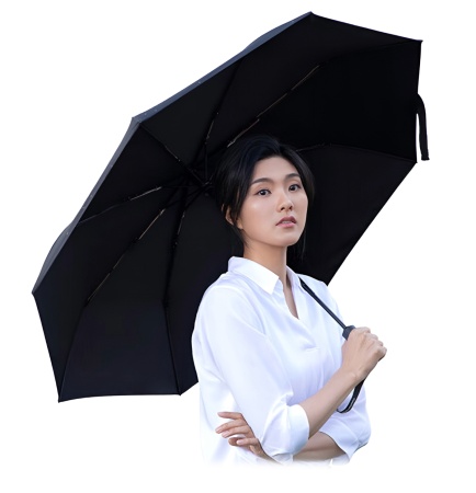 Купить Xiaomi Daily Elements Automatic Folding Umbrella (DE05YS004) Silent Night Black