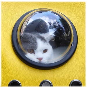 Купить Сумка-переноска Xiaomi Little Beast Star Pet School Bag Breathable Space Yellow