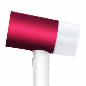 Xiaomi Lofans Handheld Steam Brush (GT-302RW)