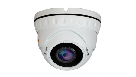 Купить IP камера видеонаблюдения CARCAM CAM-4890VPSD