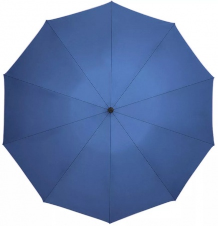 Купить Зонт Xiaomi Zuodu Automatic Umbrella Led Blue