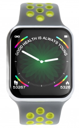 Купить Часы CARCAM SMART WATCH F8 - Silver/Gray