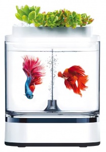 Купить Акваферма Xiaomi Geometry Mini Lazy Fish Tank Pro C300