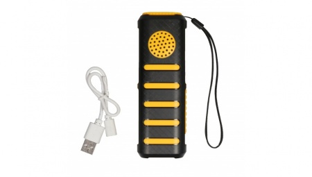 Купить CARCAM AM-03P