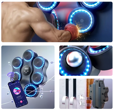 Купить SUNTEK Music Boxing Machine (MB12)