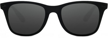 Купить Солнцезащитные очки Xiaomi Turok Steinhardt Hipster Traveler Black (STR004-0120)
