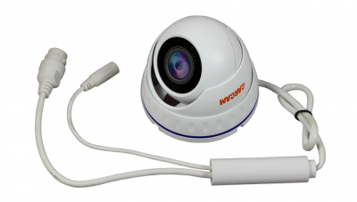Купить IP камера видеонаблюдения CARCAM CAM-1889P
