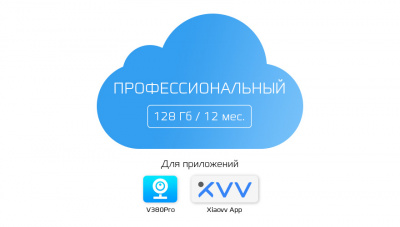 Тариф ПРОФЕССИОНАЛЬНЫЙ - 128Gb 12 мес. V380Pro / Xiaovv App