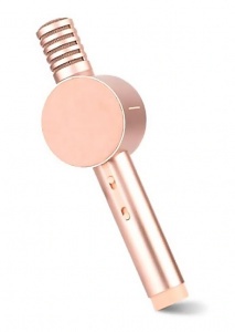 Xiaomi Otaru HoHo Sound Mic X3 Gold