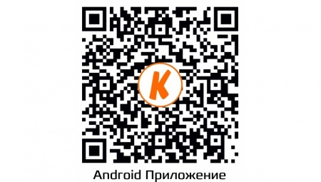 Купить IP камера видеонаблюдения CARCAM CAM-1889P