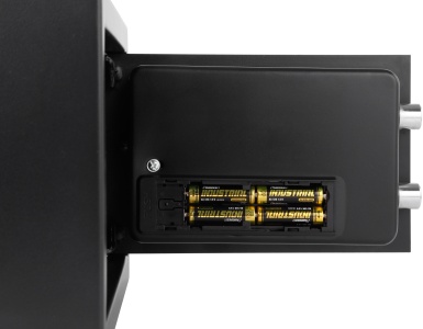 Купить CARCAM Electronic Safe Box (XM20ELB)