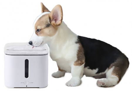 Купить Автоматический диспенсер для домашних животных Xiaomi Smart Water Dispenser 2S (P4101)
