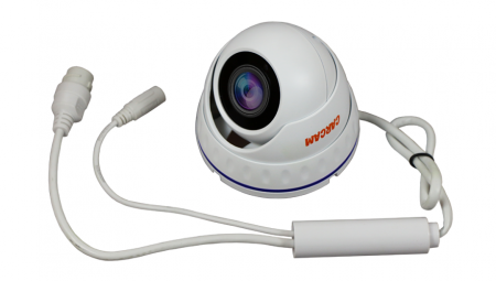 Купить IP камера видеонаблюдения CARCAM CAM-2889P