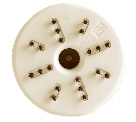 Купить Настольный портативный пылесос Xiaomi Deli 18880 Desktop Cleaner Beige