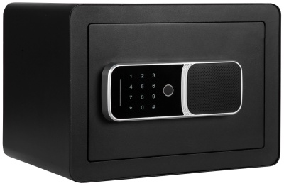 Купить CARCAM Tuya Smart Fingerprint WiFi Safe Box (XM25FDH)