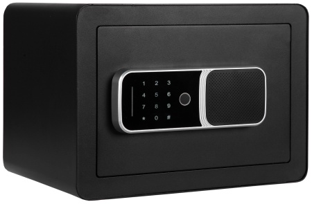 Купить CARCAM Tuya Smart Fingerprint WiFi Safe Box (XM25FDH)